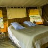 Отель Serengeti Savannah Camps, фото 37