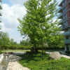 Отель River Apartment with parking, фото 1