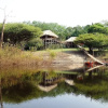 Отель Tariri Amazon Lodge, фото 15