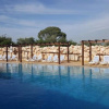 Отель Olive Gardens Resort, фото 5