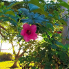 Отель Pousada Campos de Búzios, фото 18
