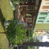 Отель Albergo Cinzia, фото 1