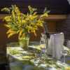 Отель Rustico Piletta - Mimosa, фото 19