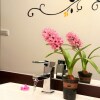 Отель Xiang Lin Tea Homestay, фото 13