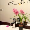 Отель Xiang Lin Tea Homestay в Илане