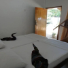 Отель Yoho Hotel Arugambay Beach Inn, фото 1