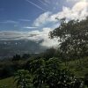 Отель Green Mountain Turrialba, фото 23