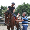 Отель APM Equestrian, фото 31
