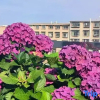 Отель Wei'erding Hotel, фото 7