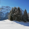 Отель Alpine Boutique Apartments, Grindelwald gletscher, фото 5
