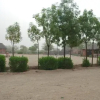 Отель Bishnoi Village Camp And Resort, фото 5