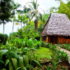 Отель Bosque del Cabo Rain Forest Lodge, фото 20