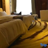 Отель Zhengyang Hotel, фото 6