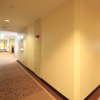 Отель Shizuoka Kita Washington Hotel Plaza, фото 15