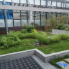 Отель Country Inn & Suites by Radisson, Jiujiang BALIHU International Automobile City, фото 8