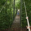 Отель Bosque del Cabo Rain Forest Lodge, фото 16