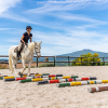 Отель Podere Val D'Orcia - Tuscany Equestrian, фото 19