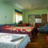Отель Green Home Apartment for Rent, фото 3