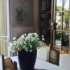 Отель Villa avec Jacuzzi Menton, фото 4