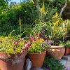 Отель Spacious Holiday Home in Bibinje With Garden, фото 46