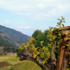 Отель Retreat at Damaar, фото 1
