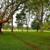 Отель Golf Hotel Kakamega, фото 16