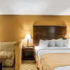 Отель Quality Inn & Suites, фото 19