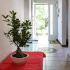 Отель La Casa Rossa, фото 11