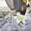Отель Mitchells Guesthouse, фото 6