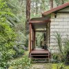 Отель Fernglen Forest Retreat of Mount Dandenong (Self Contained Bed And Breakfast Cottages), фото 28