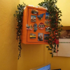 Отель Pisa Train Station Hostel, фото 21
