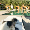 Отель Riverside Gocek Apart Otel Tiny House, фото 3