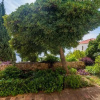 Отель Apartment Charming Arena, фото 7