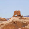 Отель Petra Bedouin House, фото 26