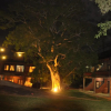 Отель Vintara Eco Resort, фото 1