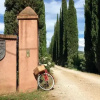 Отель Agriturismo Tra Gli Ulivi, фото 16