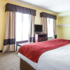 Отель Comfort Suites Rock Hill Manchester Meadows Area, фото 4