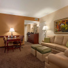 Отель Embassy Suites by Hilton Orlando Lake Buena Vista South, фото 34