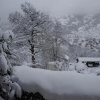 Отель Chalet Greystone, фото 17