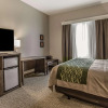 Отель Comfort Inn & Suites, фото 5