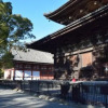 Отель Kyoto Shaw Inn, фото 18