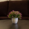 Отель Erica Residences, фото 18