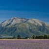 Отель The Granary at Gunyah, фото 2