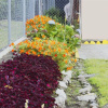 Отель Hostal Victoria Volcan Chiriqui, фото 46