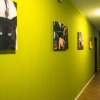 Отель United Hostel Frankfurt City Center, фото 13
