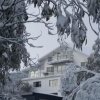 Отель Attunga Alpine Lodge and Apartments в Фоллз-Крике