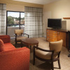 Отель Courtyard by Marriott Tallahassee Downtown/Capitol, фото 3