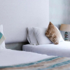 Отель New Lanark Self-Catering Waterhouses, фото 4