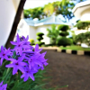 Отель Amazing Accommodation in Arusha Furaha Lodge, фото 16