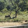 Отель Discover the Attraction of Villa Umoja, фото 17